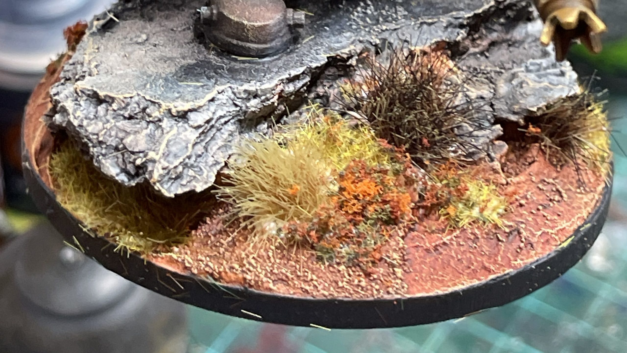 Step 24a — plants