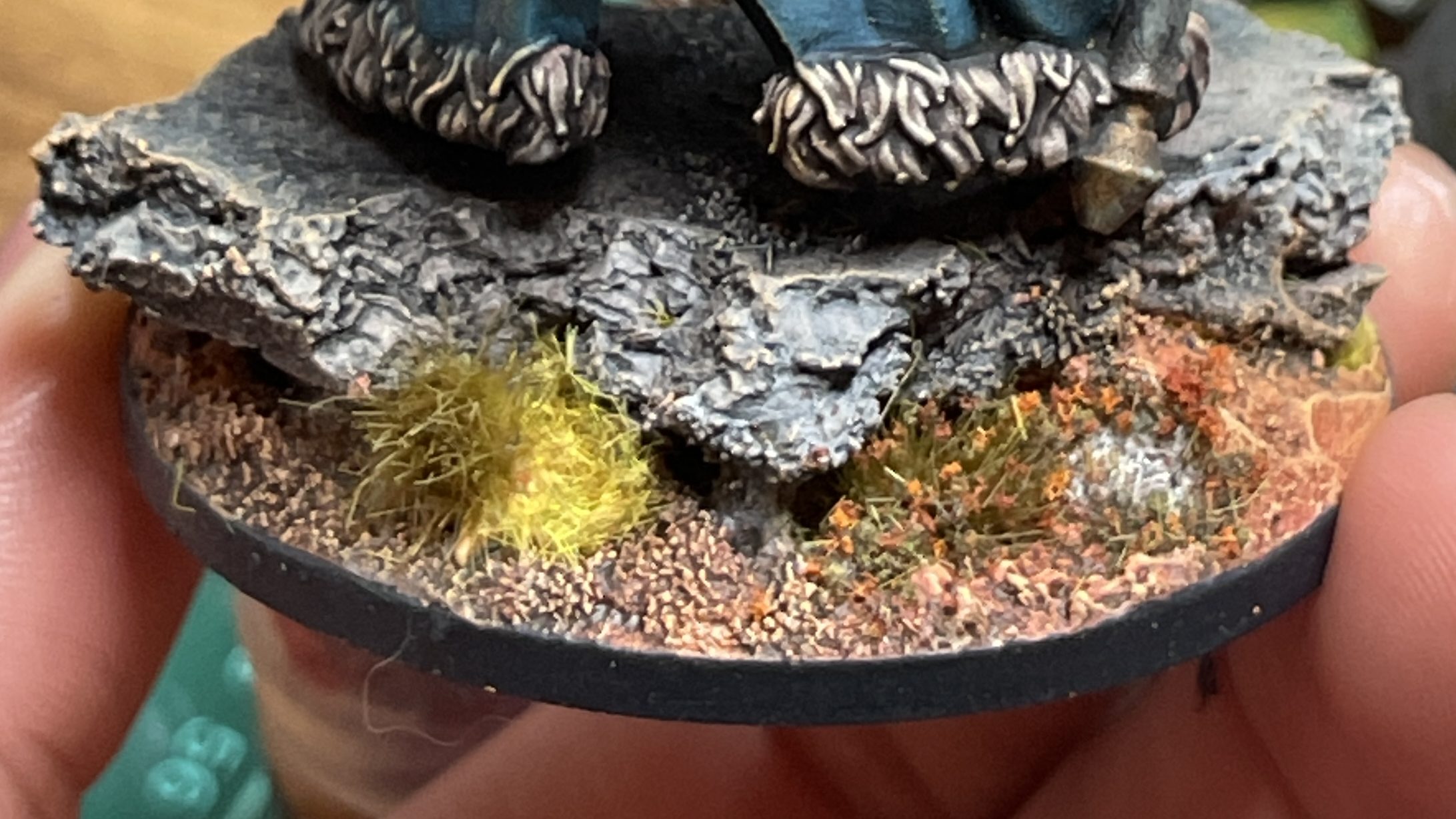 Step 24b — plants